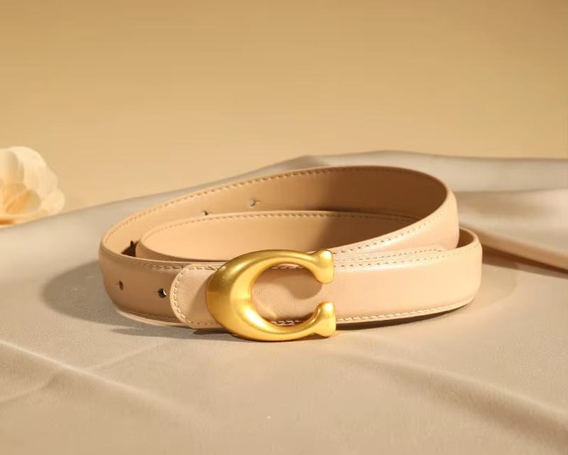 Gold Buckle Leather Belt
