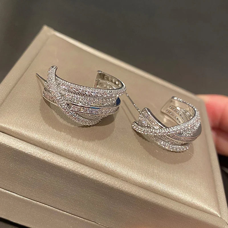Hoop Earrings with Cubic Zirconia
